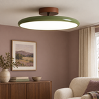 Green round metal semi flush ceiling light, original Vida Lights photograph