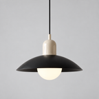 Curved metal pendant light, original gallery photograph 20