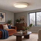 Double rim flush ceiling light, photo 06