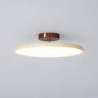 Beige ceiling light with tilting disc shade — photo 01