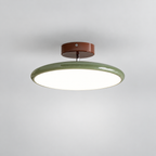 Green ceiling light with tilting disc shade — photo 16