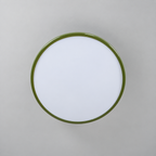Green ceiling light with tilting disc shade — photo 18