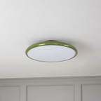 Green ceiling light with tilting disc shade — photo 19