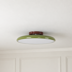 Green ceiling light with tilting disc shade — photo 21