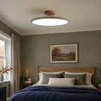 Green ceiling light with tilting disc shade — photo 23
